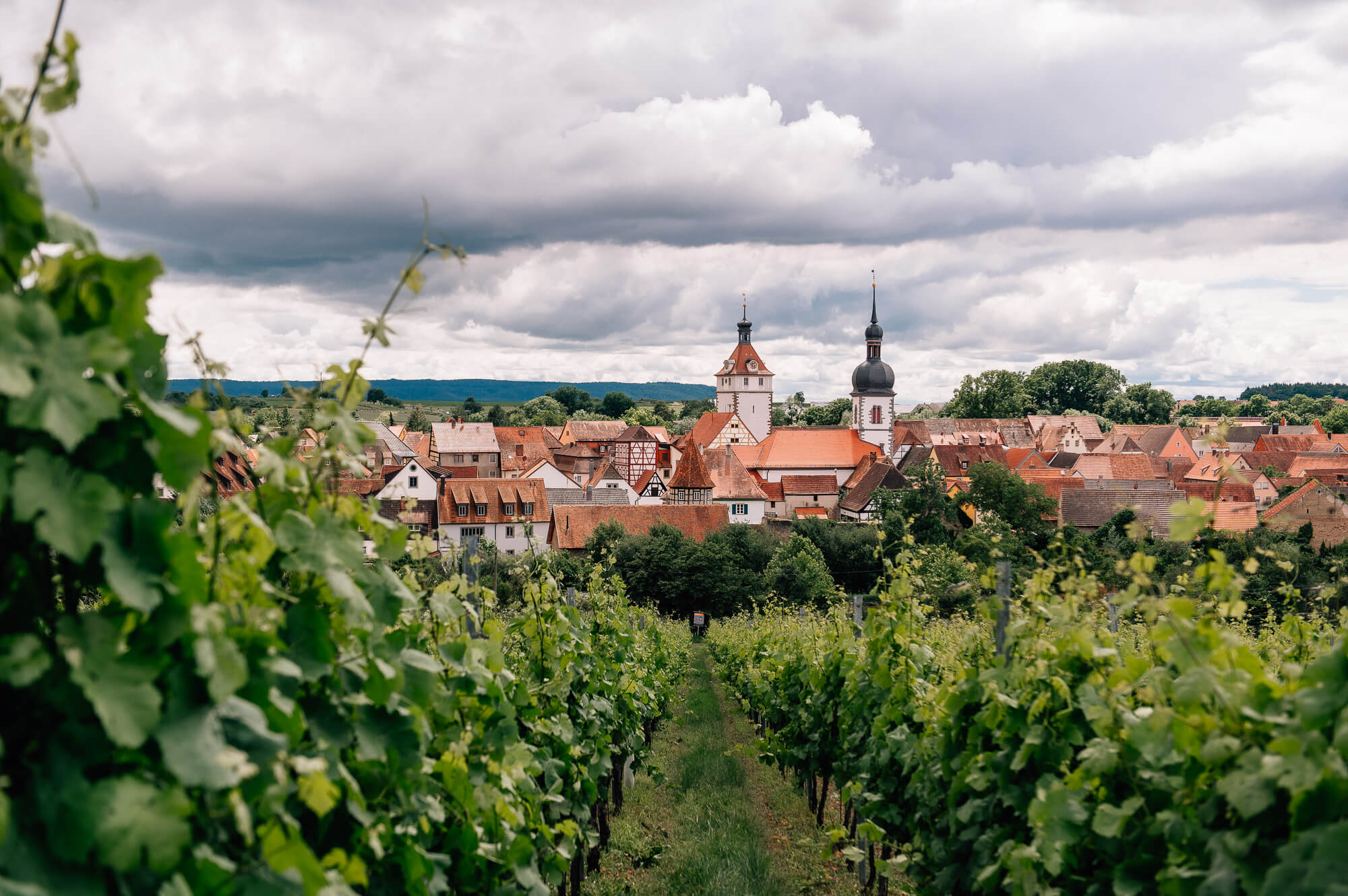 Wald und Wein – unterwegs mit dem Förster auf der Prichsenstadter Traumrunde